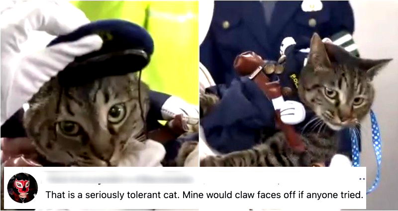 Cat Who Saved Elderly Man Becomes Police Chief for a Day and She Hates It Here