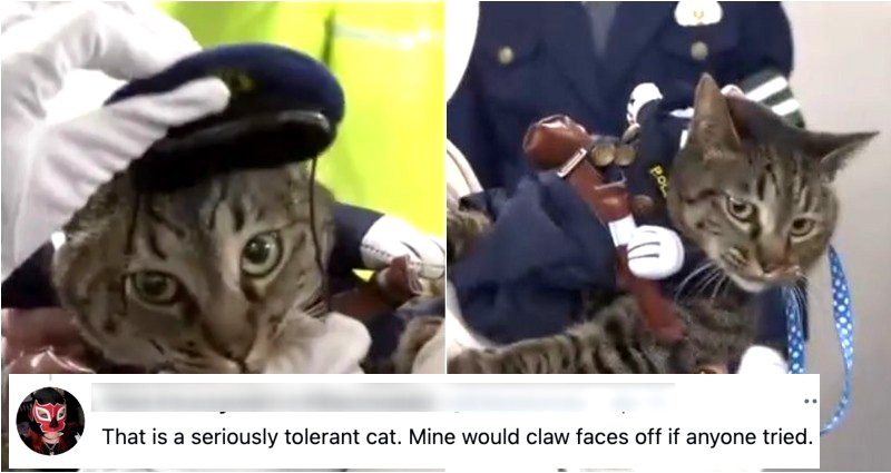 Cat Who Saved Elderly Man Becomes Police Chief for a Day and She Hates It Here