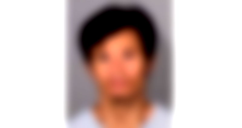 Minnesota man charged with attempted kidnapping after chasing, grabbing children