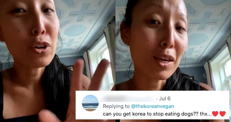 The Korean Vegan calls out racist comment about Korea eating dogs, faces backlash from more vegans