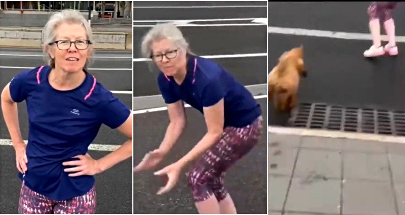 Woman furious about Asian man’s unleashed dog lures pet onto traffic in NYC