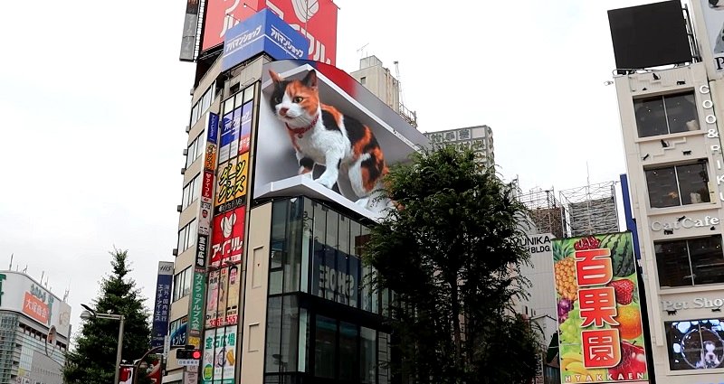 Massive 3D calico cat watches over tiny humans in Tokyo’s Shinjuku district