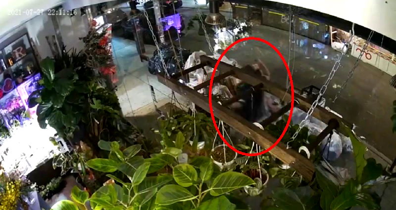 Elderly Asian woman sucker punched in ‘unprovoked’ attack outside flower shop in Manhattan