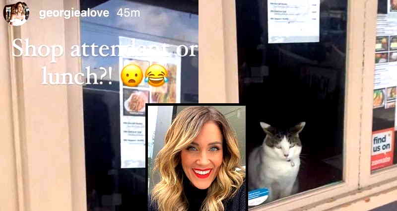 Australian reporter and former ‘The Bachelorette’ star apologizes for cat-eating Asian joke