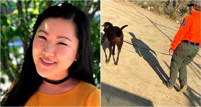 How the search for Lauren Cho has gained attention because of Gabby Petito and ‘missing white woman syndrome’