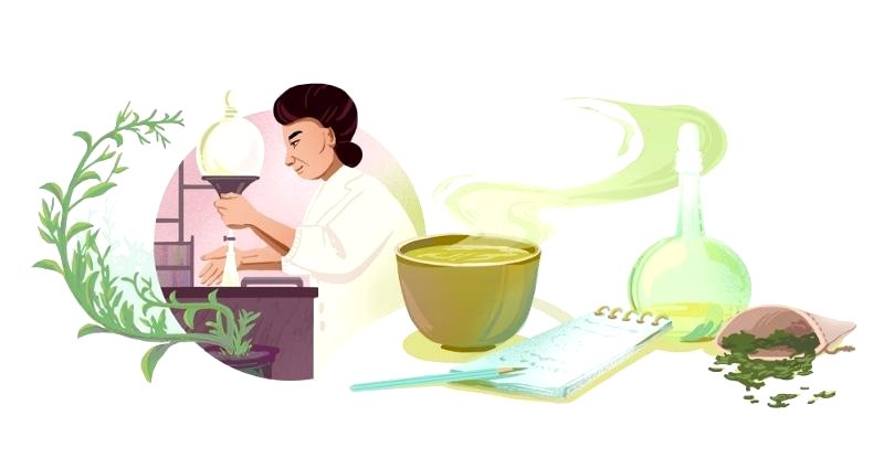 Google celebrates Michiyo Tsujimura and her breakthrough research on green tea with a Doodle