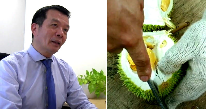 Singaporean scientists develop novel way to turn durian waste into superior antibacterial bandages