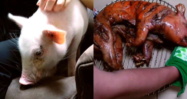 Japanese man punks the internet by ‘eating’ pet pig named Kalbi after 100-day YouTube series