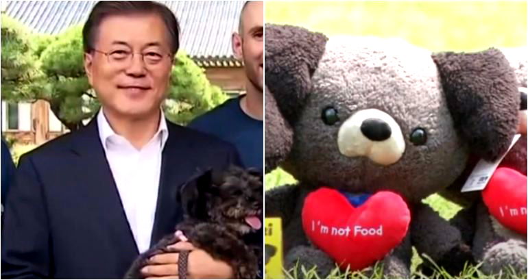 ‘Hasn’t the time come’: South Korean president wants to ban dog meat consumption