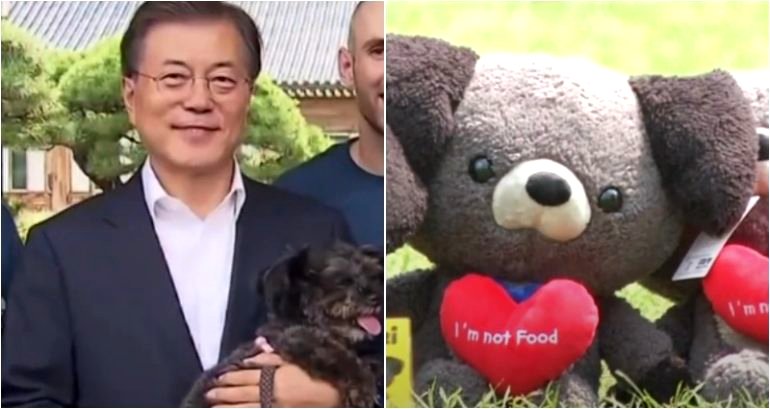 ‘Hasn’t the time come’: South Korean president wants to ban dog meat consumption