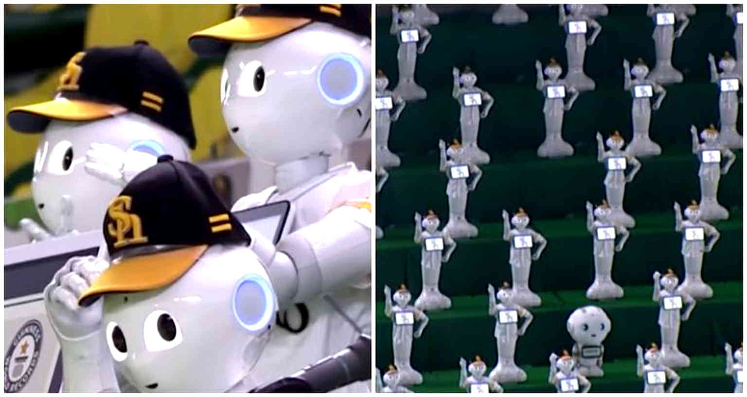 Japanese robotics company solves empty stadium dilemma with 100-humanoid-robot cheerleading squad