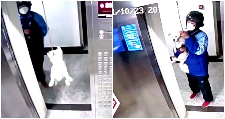 Chinese deliveryman rescues dog whose leash got caught in moving elevator