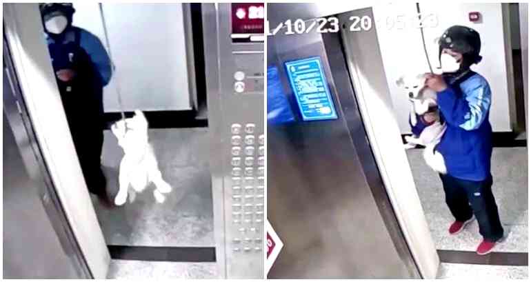 Chinese deliveryman rescues dog whose leash got caught in moving elevator