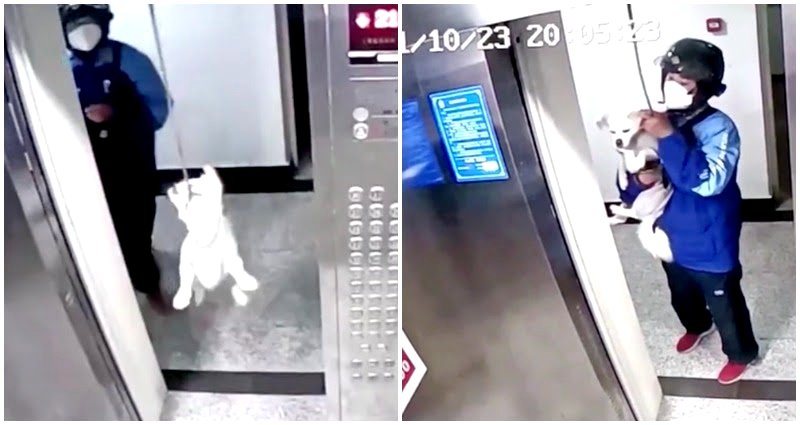 Chinese deliveryman rescues dog whose leash got caught in moving elevator