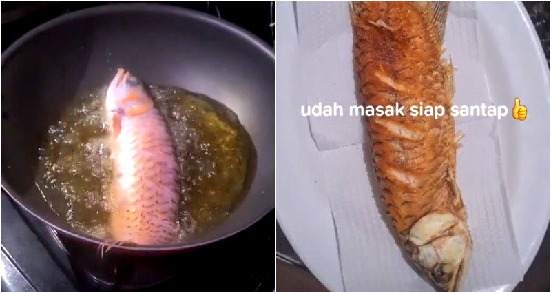 TikToker makes a meal out of her husband’s lucky Asian arowana pet fish to teach him a lesson