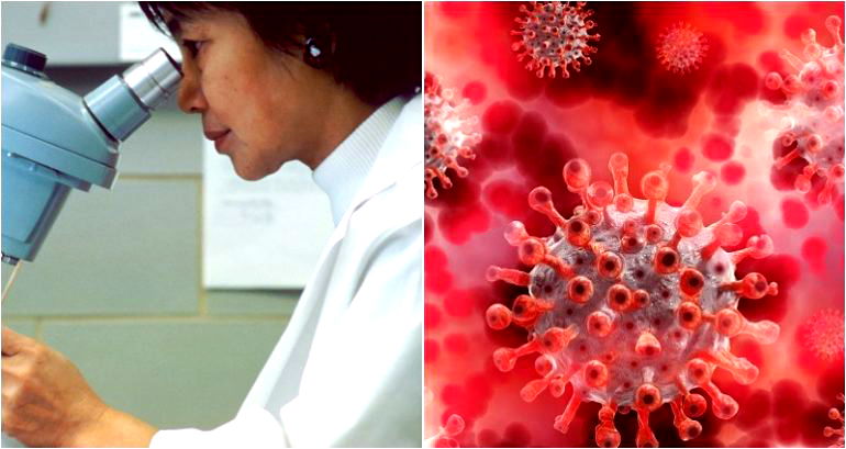 Japanese scientists develop radical new vaccine that could prevent future coronavirus pandemics