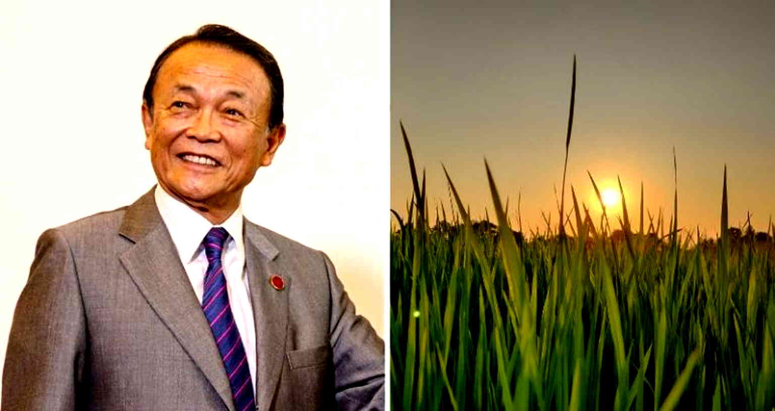 Former Japanese PM Taro Aso faces heat for claiming climate change makes ‘tastier’ rice