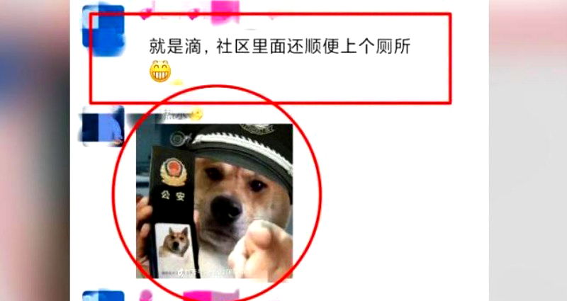 Man detained for 9 days by Chinese police for sharing ‘insulting’ meme of dog wearing a police hat