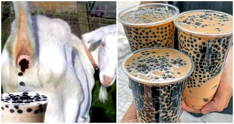 Debunked: Viral social media post claims goat feces used in bubble tea in China