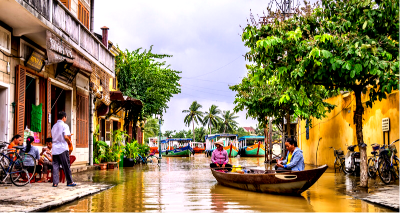 Vietnam’s Hoi An city pledges to phase out dog and cat meat consumption