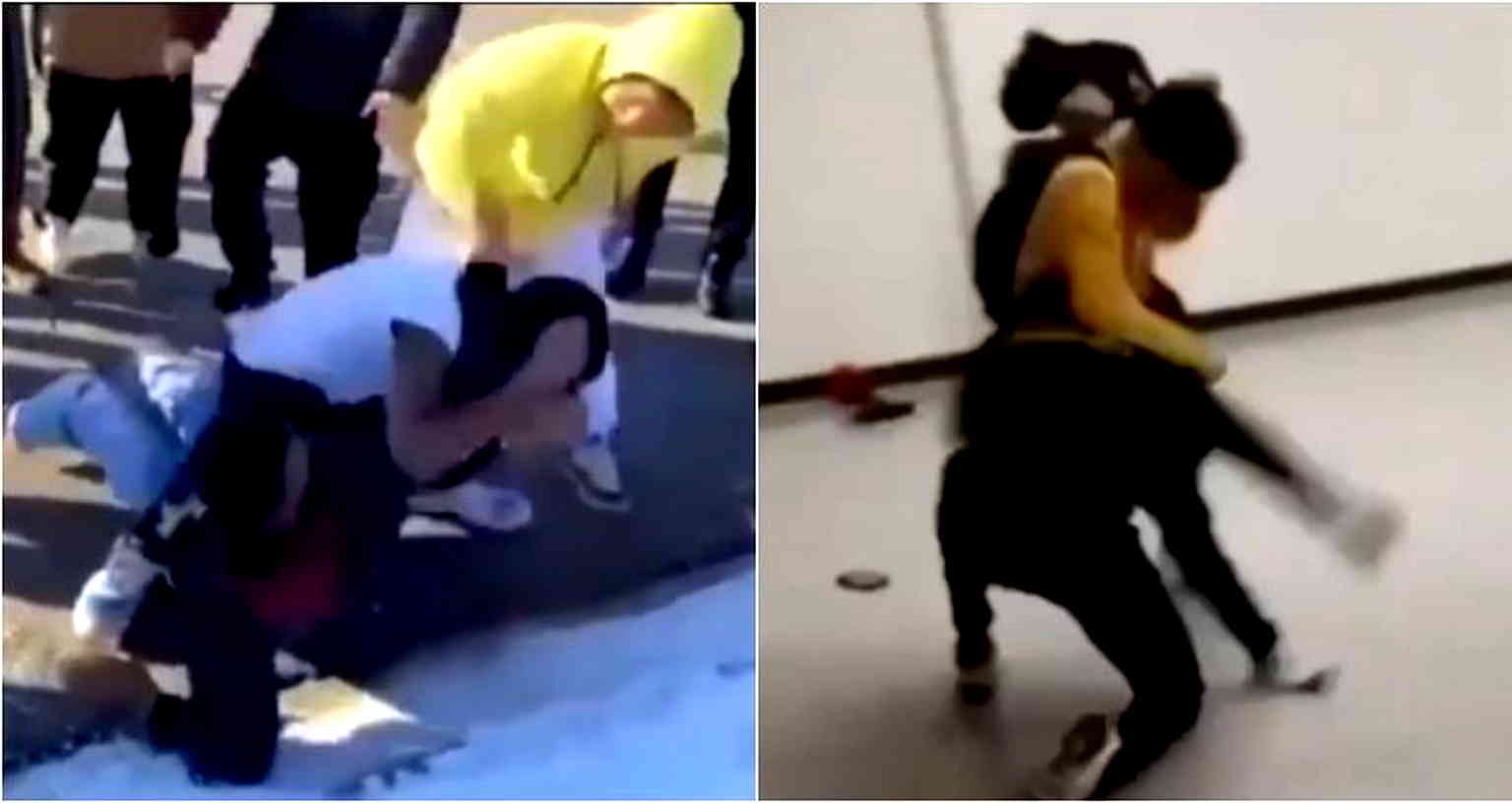 Exclusive: Saint Paul Public Schools district investigating violent student brawl caught in viral videos