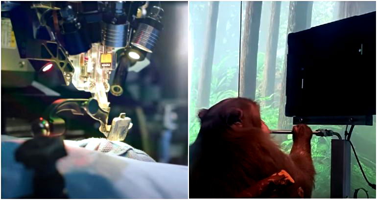 Elon Musk’s Neuralink denies monkeys were tortured in brain implant experiments