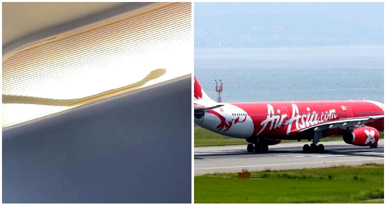 Calling Samuel L. Jackson: AirAsia pilot reroutes flight after passenger finds snake on plane