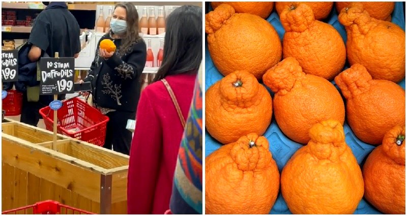 Sumo oranges: the Japanese citrus sweeping TikTok