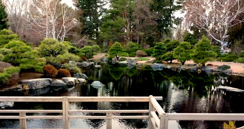 Human arm bone discovered under Japanese garden in Denver