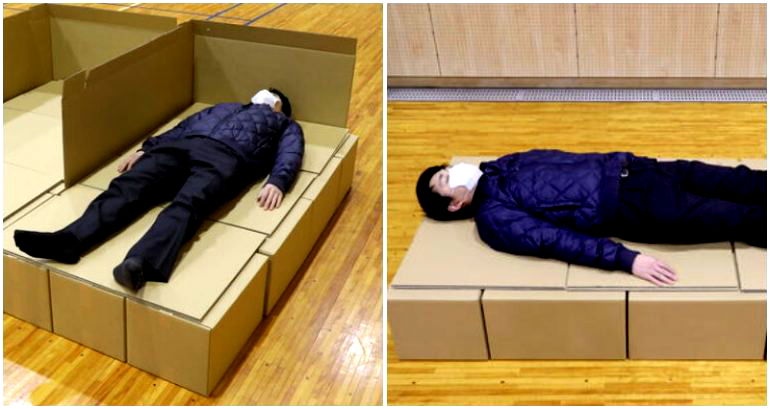 Japan’s ‘cheapest’ cardboard beds can be bought and shipped to adventurous sleepers in the US for $50