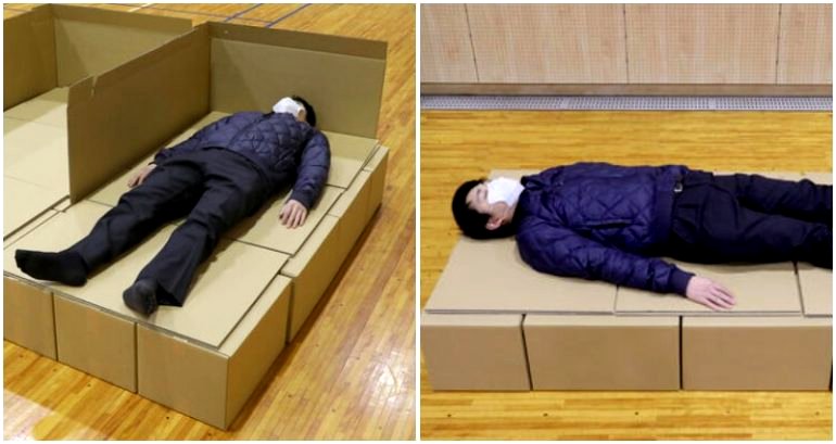 Japan’s ‘cheapest’ cardboard beds can be bought and shipped to adventurous sleepers in the US for $50