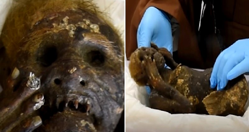 Scientists try to solve mystery of 300-year-old mummified ‘mermaid’ currently being worshipped at a temple