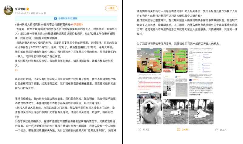 snowball weibo post 2