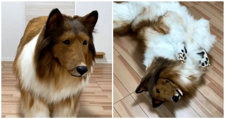 Japanese man spends $15,700 on dog costume to fulfill lifelong dream of transforming into an animal 
