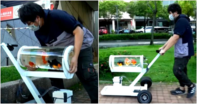 Taiwanese man takes pet fish for a walk with ingenious ‘fish stroller’