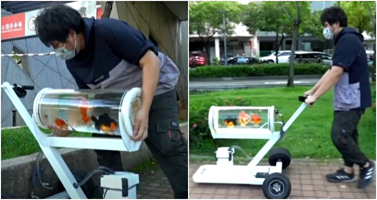 Taiwanese man takes pet fish for a walk with ingenious ‘fish stroller’