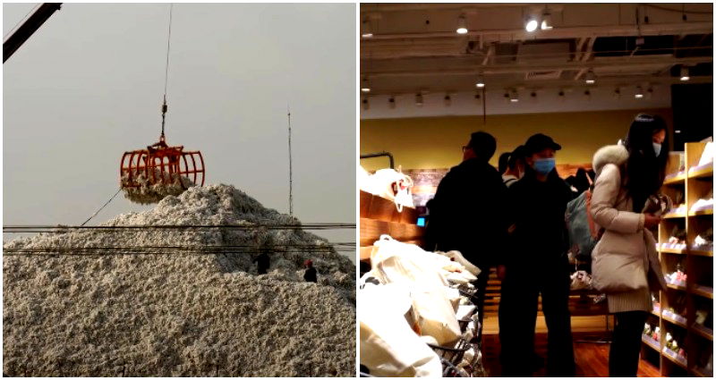 Report: Xinjiang cotton found in Adidas, Puma and Hugo Boss tops