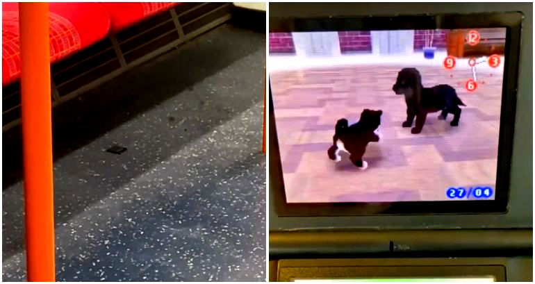 TikToker rescues ‘abandoned’ Nintendogs after finding game cartridge on London train