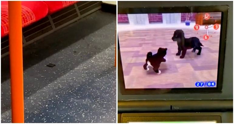 TikToker rescues ‘abandoned’ Nintendogs after finding game cartridge on London train