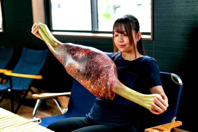 ‘Monster Hunter’: Realistic-looking Kongari Meat pillows come in raw and cooked designs