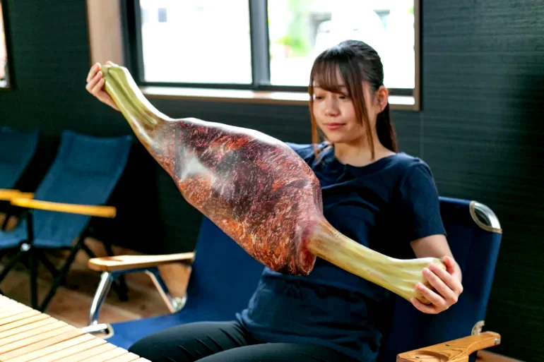 ‘Monster Hunter’: Realistic-looking Kongari Meat pillows come in raw and cooked designs