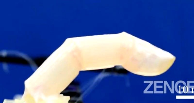 Japanese scientists grow living, self-healing human skin that can be put on robots