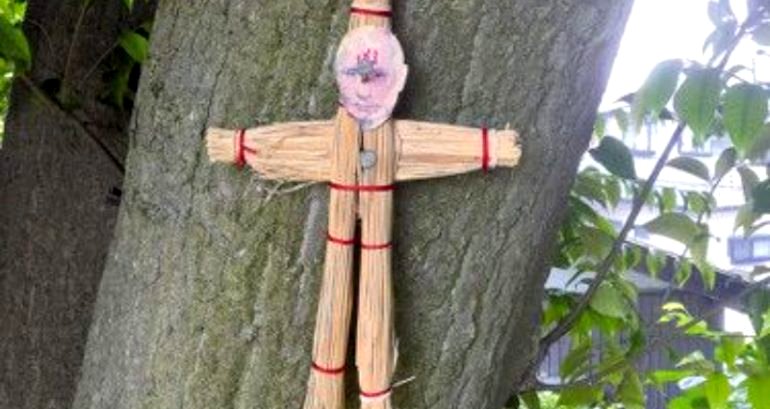 Man arrested after nailing Putin straw doll to sacred tree in Japan as part of death curse