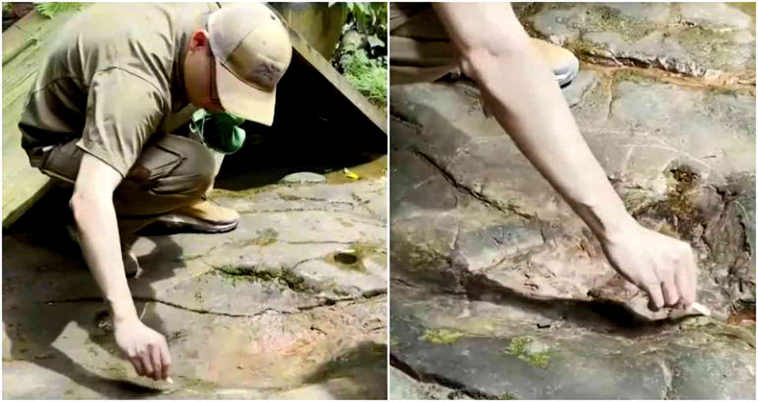 100-million-year-old dinosaur footprints discovered at restaurant in China