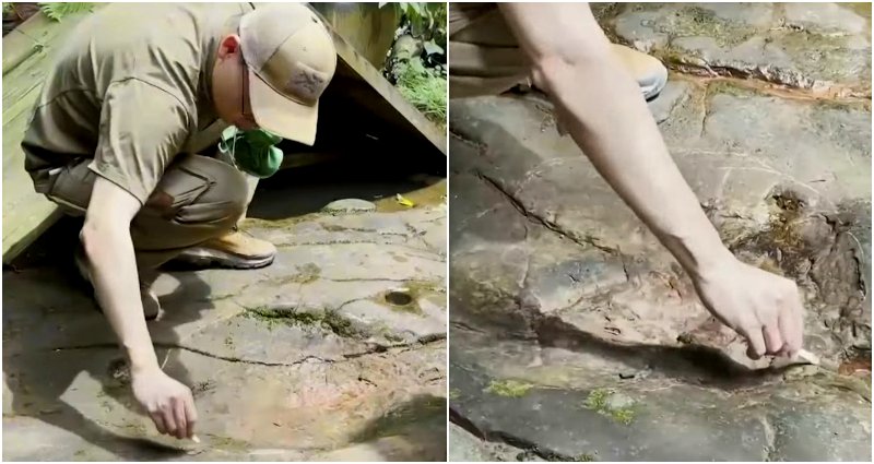 100-million-year-old dinosaur footprints discovered at restaurant in China