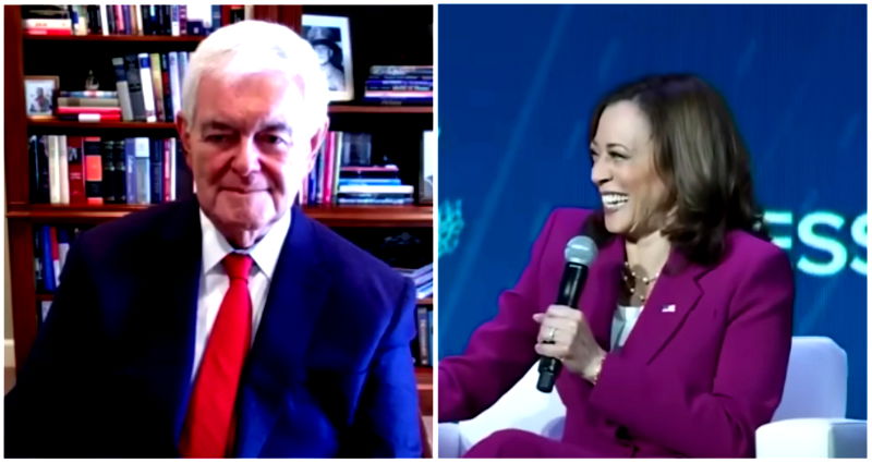 Former House speaker cites VP Kamala Harris’ ‘really weird’ laugh as reason she can’t be president