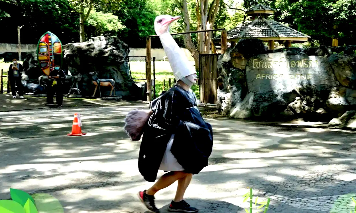 Thai zoo staff chases after man dressed up as an ostrich in training exercise