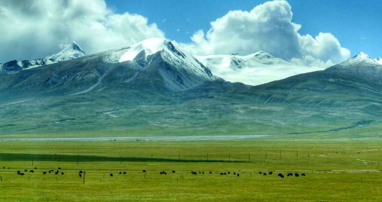 Nearly 6,000 glaciers in China have disappeared due to global warming