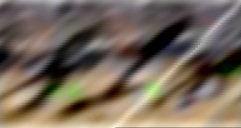 California woman ordered to apologize, pay $9,000 for telling daughter to hit opponent at youth basketball game