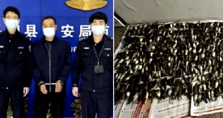 Man in China arrested for killing 1,000 birds ‘for hotpot’